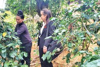 Tác giả trong một lần về với bản làng vùng cao