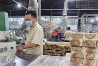 Keo dán gỗ được Bộ Nông nghiệp và Phát triển nông thôn bổ sung vào danh mục hàng hoá nhóm 2, nhưng đến ngày có hiệu lực vẫn không chỉ định đơn vị đánh giá sự phù hợp. Ảnh minh họa