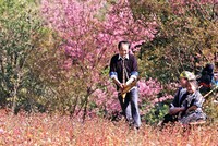 Cảnh quan thiên nhiên tươi đẹp, nguyên sơ cùng giá trị văn hóa truyền thống của các dân tộc trên địa bàn tạo sức hấp dẫn cho du lịch Yên Bái