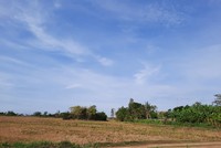 Chính sách bồi thường cho người không trực tiếp sản xuất nông nghiệp nhưng có đất thu hồi còn bất cập, ảnh hưởng đến tiến độ thực hiện thu hồi đất. (Ảnh minh họa)