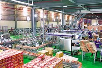 Dây chuyền sản xuất tại CTCP Sữa Quốc tế. Ảnh: S.T 