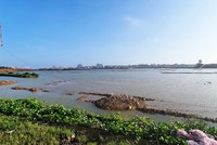 Khu vực dọc bờ sông Nhật Lệ, TP. Đồng Hới, Quảng Bình. Ảnh: Ngọc Tân