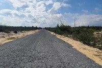 Rừng chắn cát tại khu vực bán đảo Bảo Ninh, TP. Đồng Hới, Quảng Bình. Ảnh: Ngọc Tân