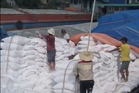 Công ty cổ phần Tập đoàn Đầu tư Việt An là một trong số các doanh nghiệp xuất khẩu tinh bột sắn đang đợi được hoàn thuế giá trị gia tăng.