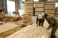 Nhiều doanh nghiệp gỗ dán cứng của Việt Nam có nguy cơ bị áp thuế cao khi xuất khẩu sang Mỹ.
