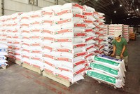 Gỡ bỏ các rào cản trong sản xuất - kinh doanh là giải pháp được doanh nghiệp trông đợi nhất lúc này. Ảnh: Đức Thanh 