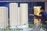 Nhà chung cư đang rất được quan tâm. Ảnh: Dũng Minh 