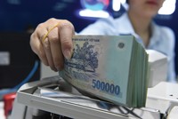 Việt Nam đang dựa quá nhiều vào chính sách tiền tệ để kích cầu