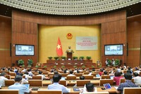 Phiên họp sáng 29/8 của đại biểu Quốc hội chuyên trách.