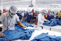 May hàng xuất khẩu. (Ảnh: Trần Việt/TTXVN)