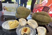 Sầu riêng trồng ở Hải Nam, Trung Quốc. Ảnh: China Daily