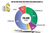 Nhộn nhịp phát hành trái phiếu trở lại: Ngân hàng toan tính gì? 