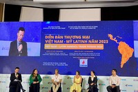 Mỹ Latinh được đánh giá là thị trường ít khắt khe.