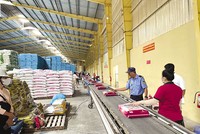 Vốn ngân hàng giúp Công ty cổ phần Hoàng Minh Nhật giảm bớt gánh nặng tài chính để duy trì sản xuất trong 17 năm qua 