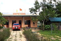 Công ty TNHH MTV Thiên Sơn khởi kiện Công ty TNHH Sản xuất thương mại dịch vụ Sông Trà Quảng Ngãi liên quan đến Dự án Trang trại sản xuất Rau - Quả an toàn.