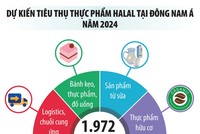 Dư địa lớn của thị trường Halal
