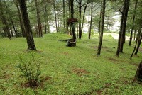 Dừng hoạt động dự án nuôi cá nước lạnh và quản lý bảo vệ rừng của Công ty Phương Minh 