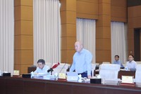 Thứ trưởng Bộ Kế hoạch và Đầu tư Đỗ Thành Trung trình bày báo cáo tại phiên họp