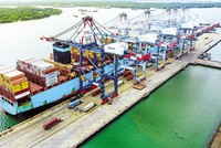 Tàu mẹ Maersk Emden kết nối Việt Nam với bờ Tây nước Mỹ đang làm hàng tại cảng CMIT