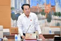 Trưởng ban Dân nguyện Dương Thanh Bình.