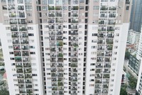 Bất động sản tìm đường đi lên từ đáy