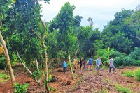 Tìm mua đất vườn ở các địa phương lân cận TP.HCM. Ảnh: Lê Toàn 