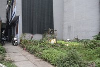 Thị trường đất nền vẫn khó tìm lại “ánh hào quang” như hồi đầu năm 2022. Ảnh: Thanh Vũ 