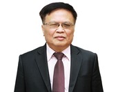 TS. Nguyễn Đình Cung, nguyên Viện trưởng Viện Nghiên cứu quản lý kinh tế Trung ương