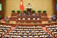 Trách nhiệm từ lá phiếu