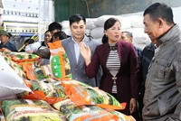 Xây dựng nông thôn mới Ứng Hòa: Nâng cao chất lượng, khởi sắc vùng quê 