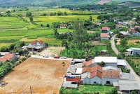 Nạn phân lô, bán nền cũng diễn ra phức tạp.