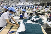 Dệt may sang Canada đạt 1,3 tỷ USD trong năm ngoái, nhờ tận dụng lợi thế CPTPP.