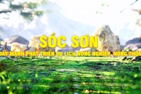 Sóc Sơn đẩy mạnh phát triển du lịch nông nghiệp, nông thôn