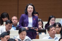 Phó chủ nhiệm Ủy ban Tư pháp của Quốc hội Mai Thị Phương Hoa.