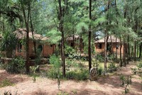 Dự án Aquatica Cửa Việt hoang tàn sau khi nhà đầu tư ngừng thi công.