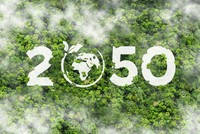 Việt Nam đặt mục tiêu phát thải ròng bằng 0 vào năm 2050. 