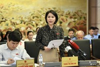 Đại biểu Trần Thị Nhị Hà phát biểu tại tổ. 