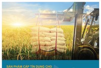 Ngành gạo đón “trợ lực” từ BAC A BANK
