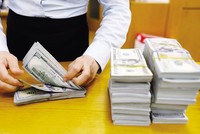 Tỷ giá tiếp tục ổn định do nguồn dự trữ ngoại hối dồi dào, dòng vốn FDI vẫn tiếp tục tăng trưởng. Ảnh: Đức Thanh 