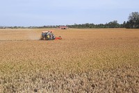 UBND tỉnh Sóc Trăng được quyết định chuyển mục đích sử dụng đất để thực hiện dự án giao thông vốn gần 700 tỷ đồng. Ảnh minh họa