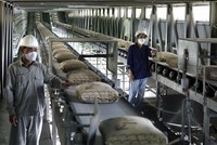 Xi măng là một trong những ngành chịu ảnh hưởng nặng nề từ việc tăng giá điện