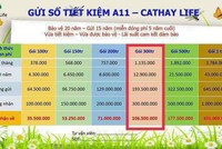Thông tin quảng cáo có kèm theo logo của Cathay Life 