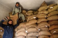 Nguồn: TTXVN/Vietnam+