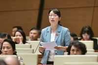 Đại biểu Trần Thị Diệu Thúy (TP.HCM) phát biểu.