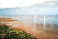 Một dự án điện gió gần bờ đang vận hành. Ảnh minh họa: st