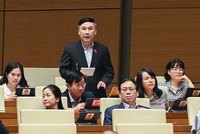 Đại biểu Lê Hoàng Anh (Gia Lai) tranh luận.