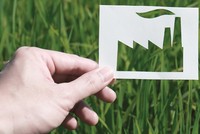 Cẩn trọng với “tẩy xanh”