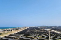 (Ảnh minh họa: Sỹ Thắng/TTXVN)