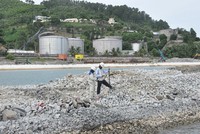 Dự án cảng Liên Chiểu.