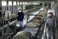 Sản xuất, tiêu thụ xi măng ảm đạm vì cầu thị trường xuống thấp.